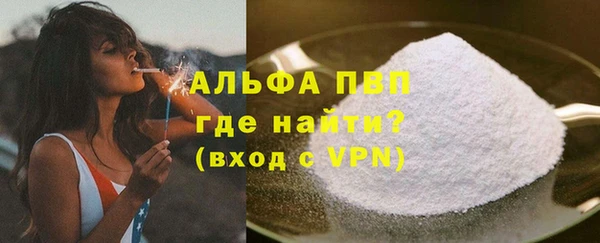 индика Новокубанск