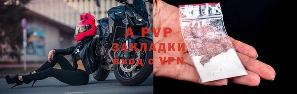 ешки Арсеньев