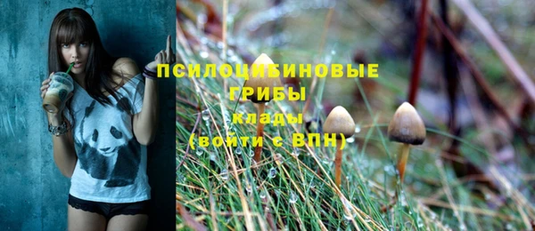 ешки Арсеньев